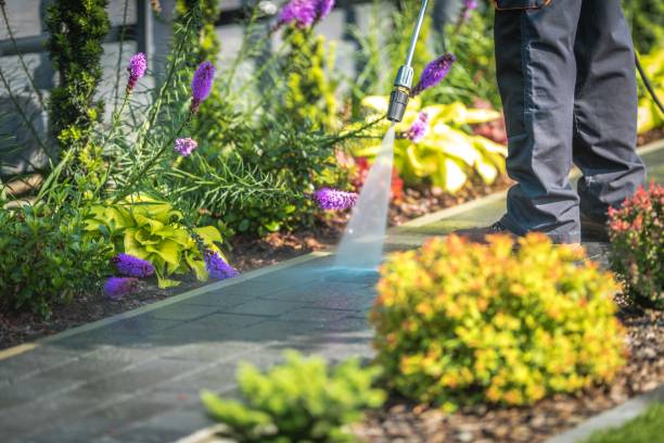  Madison Park, NJ Pressure Washing Pros