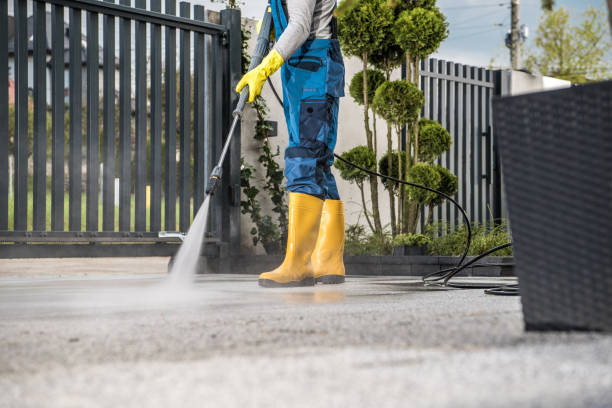 Best Driveway Pressure Washing  in Madison Park, NJ